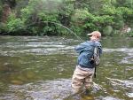 Taupo Trout Fishery regulation changes from 1 July 2017